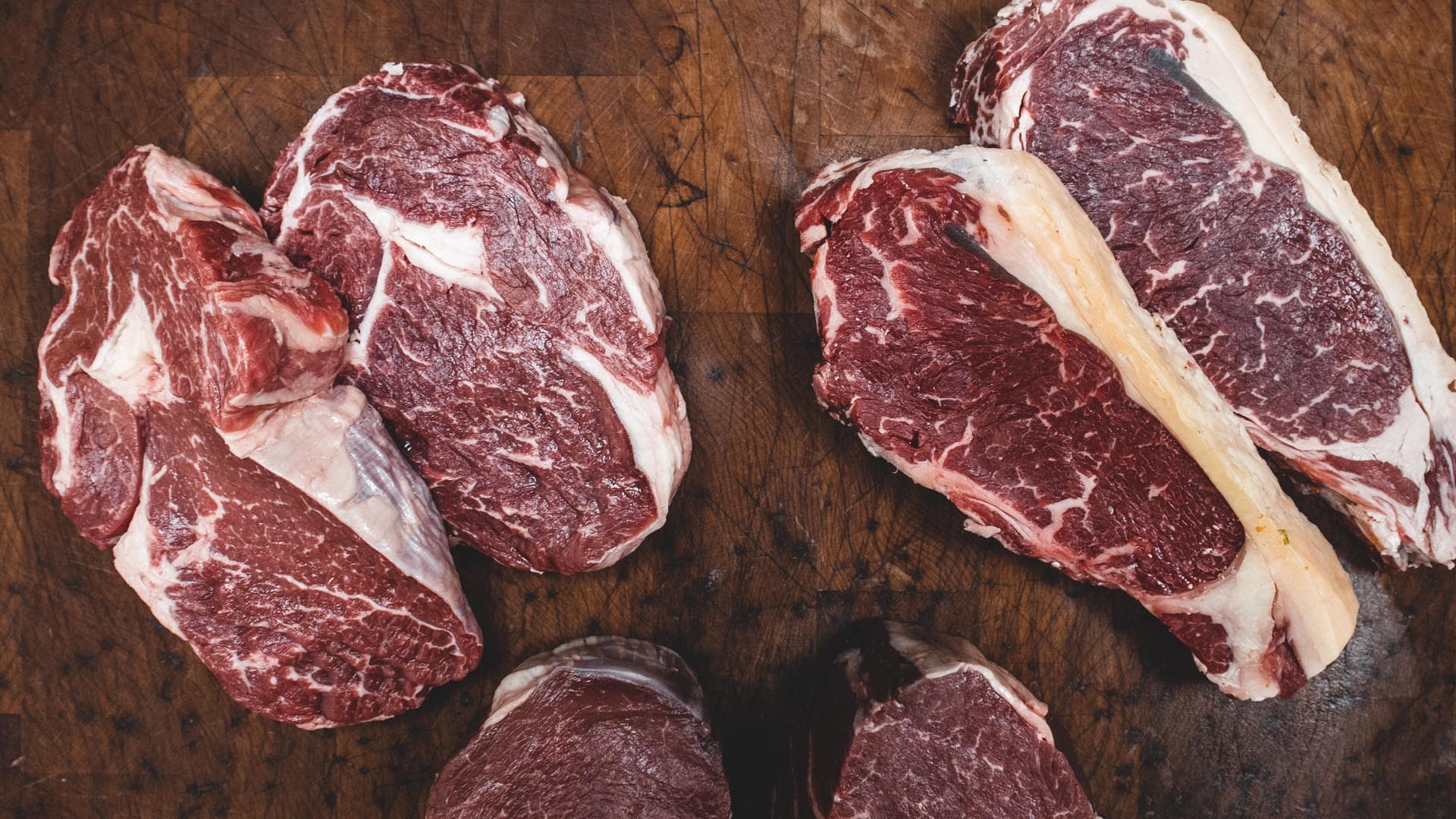 La anemia en los perros