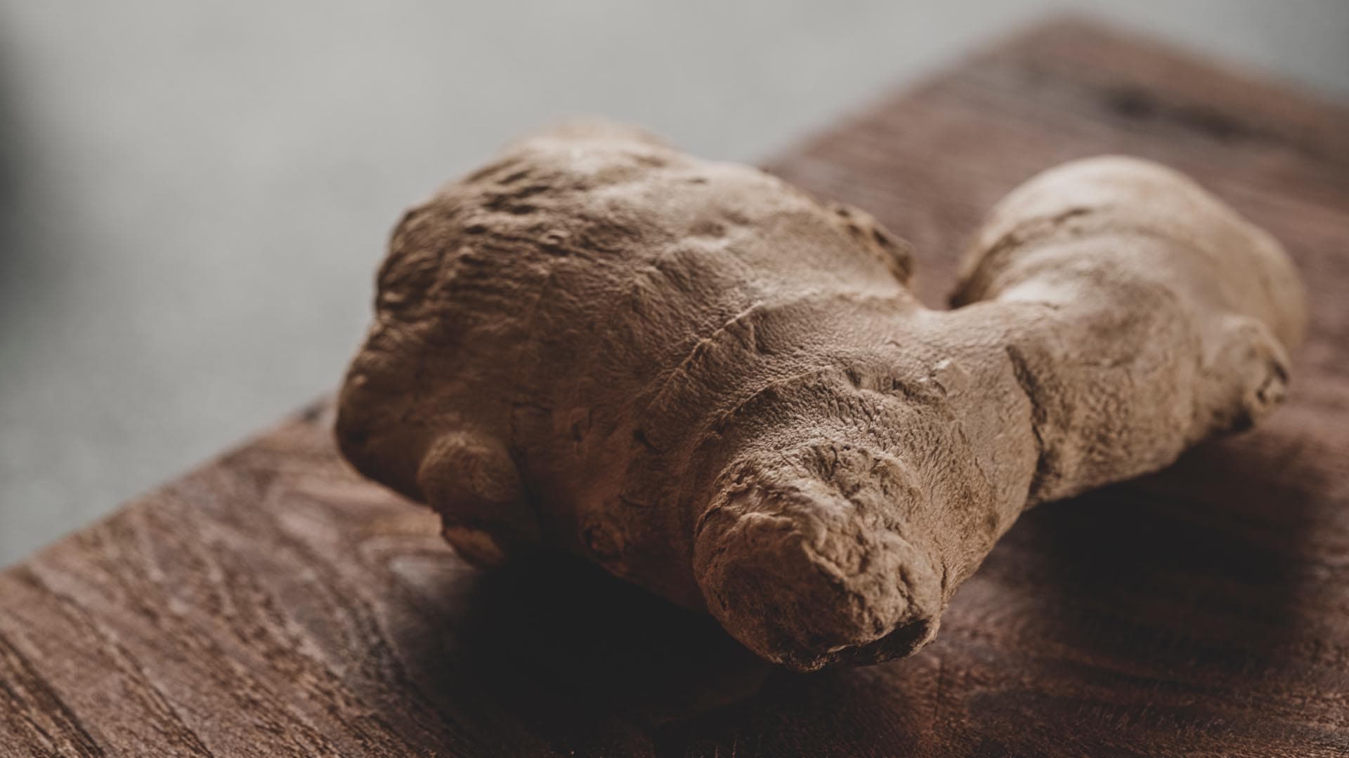 Jengibre para perros