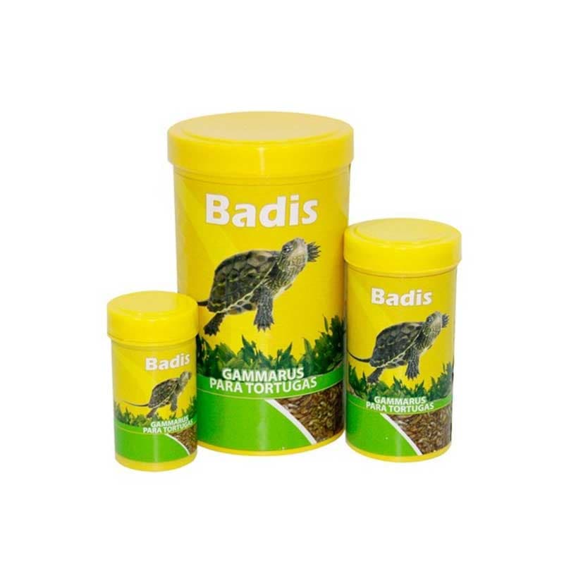Badis gammarus para tortugas