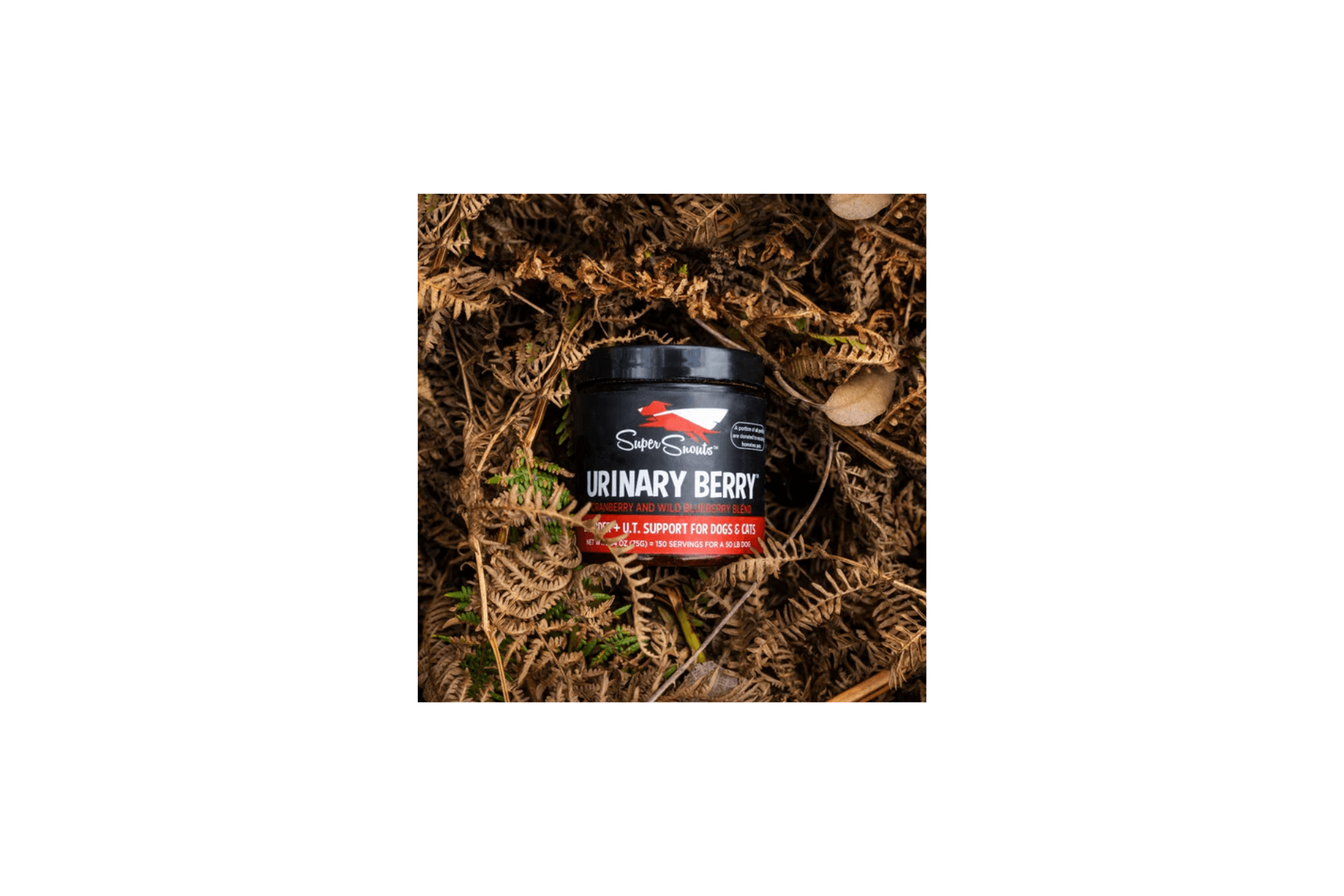 Super Snouts Urinary Berry – Suplemento Natural de Apoyo Urinario para Perros y Gatos (75g)