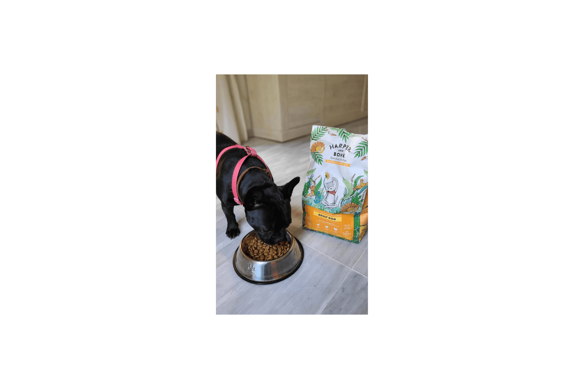 Harper & Bone Flavours of the Farm Medium Maxi Adult Dog