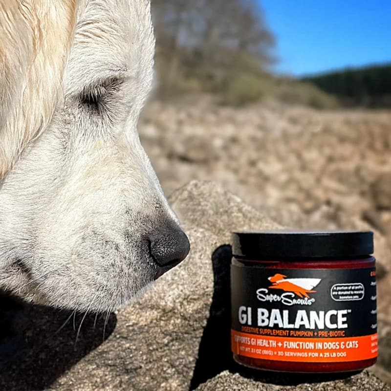 Super Snouts GI Balance – Regulador Gastrointestinal 100% Natural. Prebiótico (88g)1