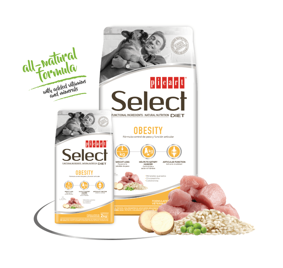Picart Select Diet Obesity para perros1