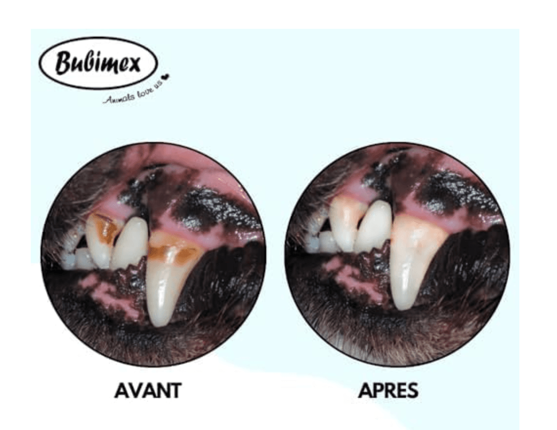 Bubimex Plaque destructor 80g 2