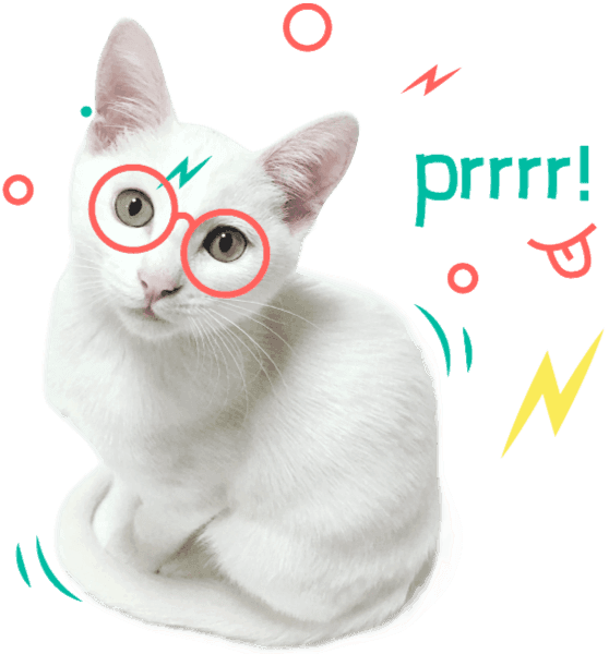 Snacks y Mordedores Naturales para Gatos