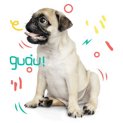 Dietas Veterinarias para Perros