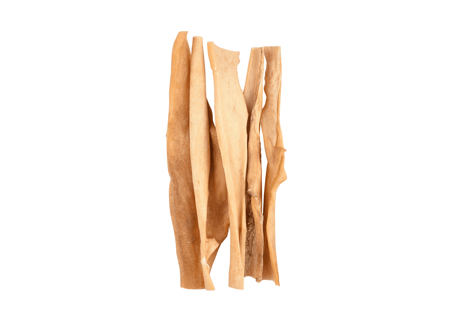 Piel de Cabeza de Búfalo 25cm